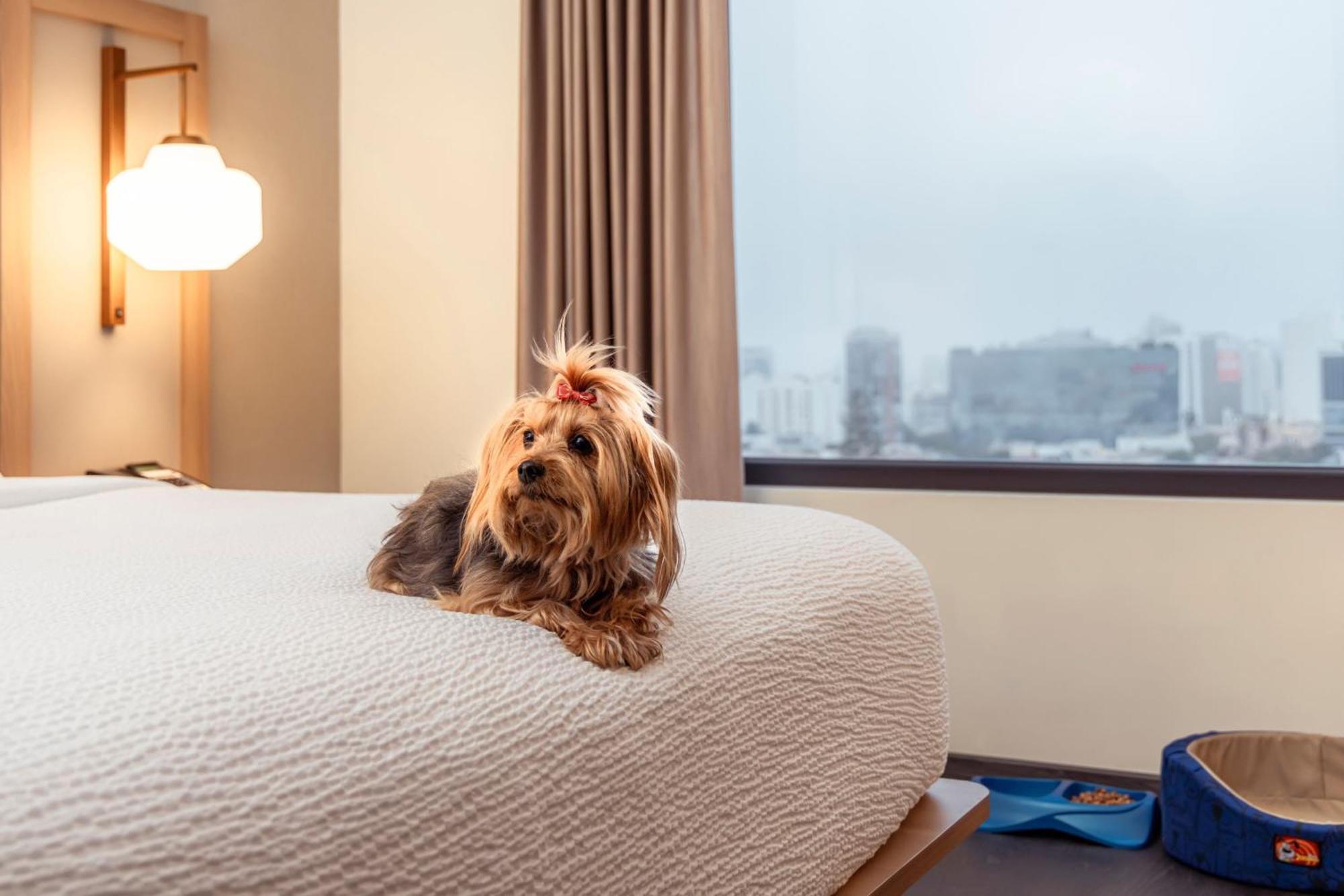 Fairfield By Marriott Lima Miraflores Kültér fotó